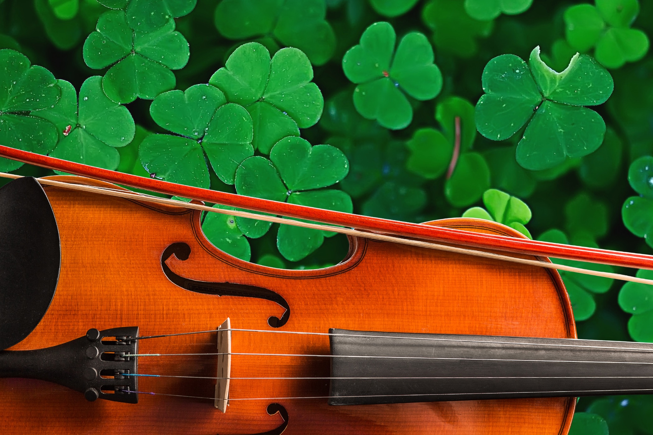 Marie Jones' The Blind Fiddler event image