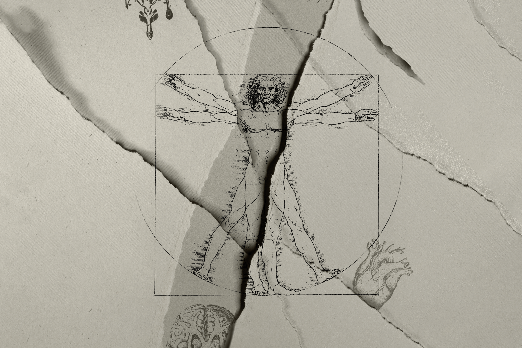 Mary Shelley's Frankenstein