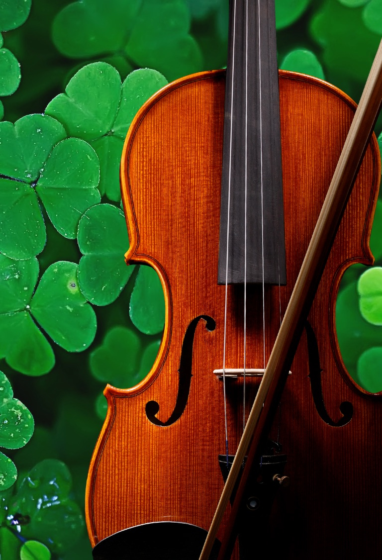 Blind Fiddler 768 x 1126 px ng